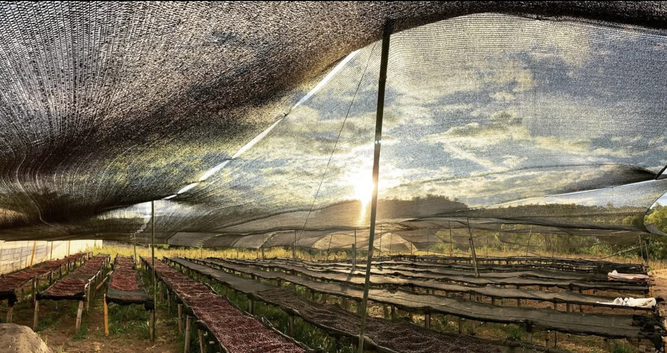 스크린샷 2025-09-26 오후 8.35.57.png