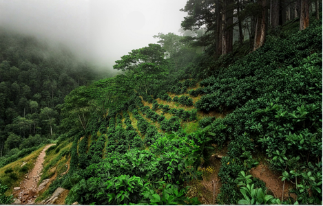 위클리커핑_new instagram size 복사본.png