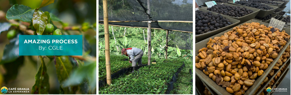 위클리커핑_new instagram size.png