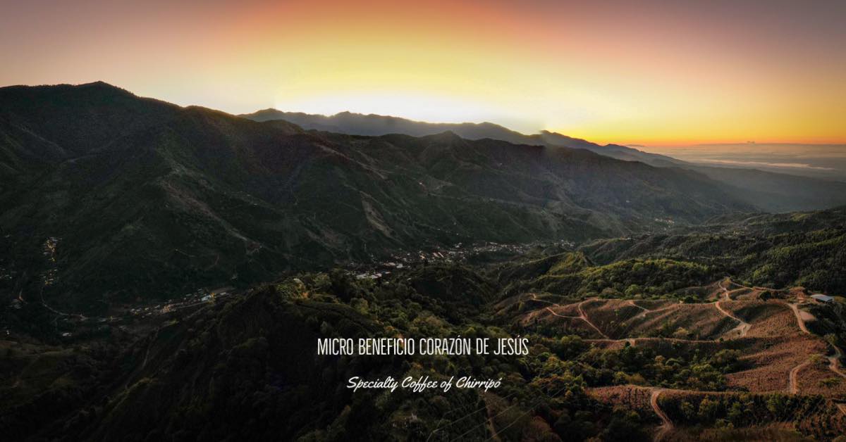 481354860_1213190900520517_7995612712829493975_n (1).jpg