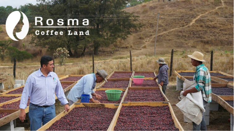 위클리커핑_new instagram size (1).png