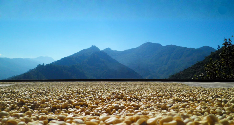 위클리커핑_new instagram size (1) 복사본.png