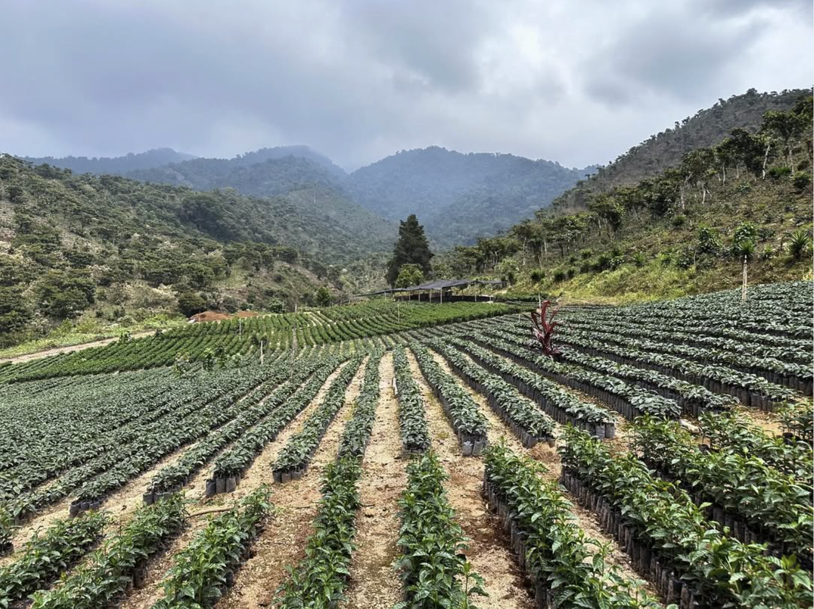 스크린샷 2025-12-07 오후 5.19.07.png