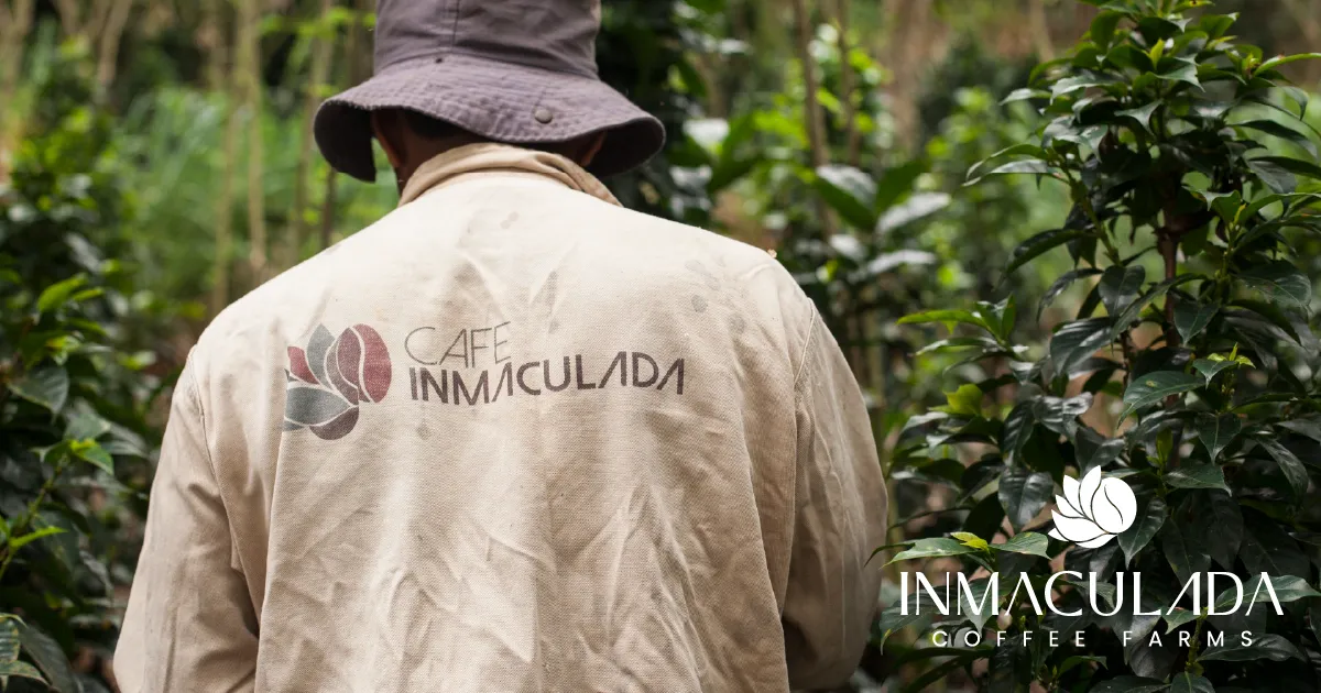 676583ad5550d6fe3131c929_Inmaculada Coffee SEO About Us.webp