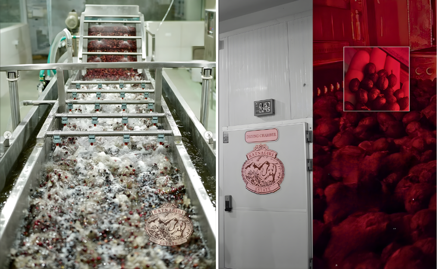 Finca El Alisal (1).png