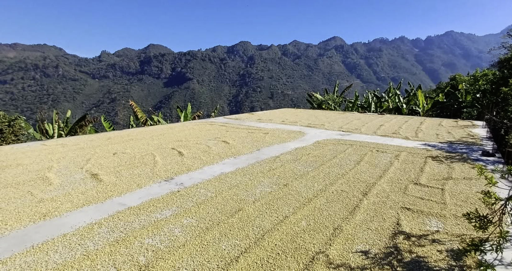 스크린샷 2026-02-02 오후 4.32.04.png