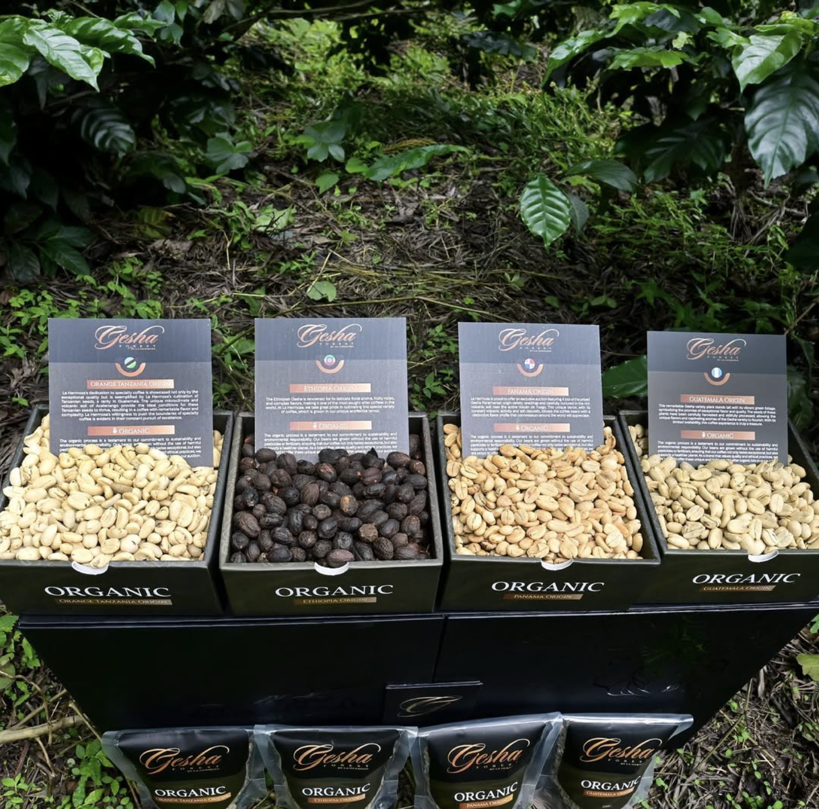 스크린샷 2026-02-22 오후 7.47.13.png