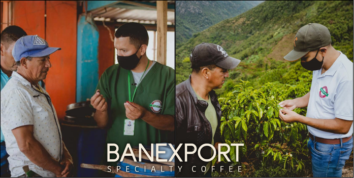 Finca El Alisal (1).png